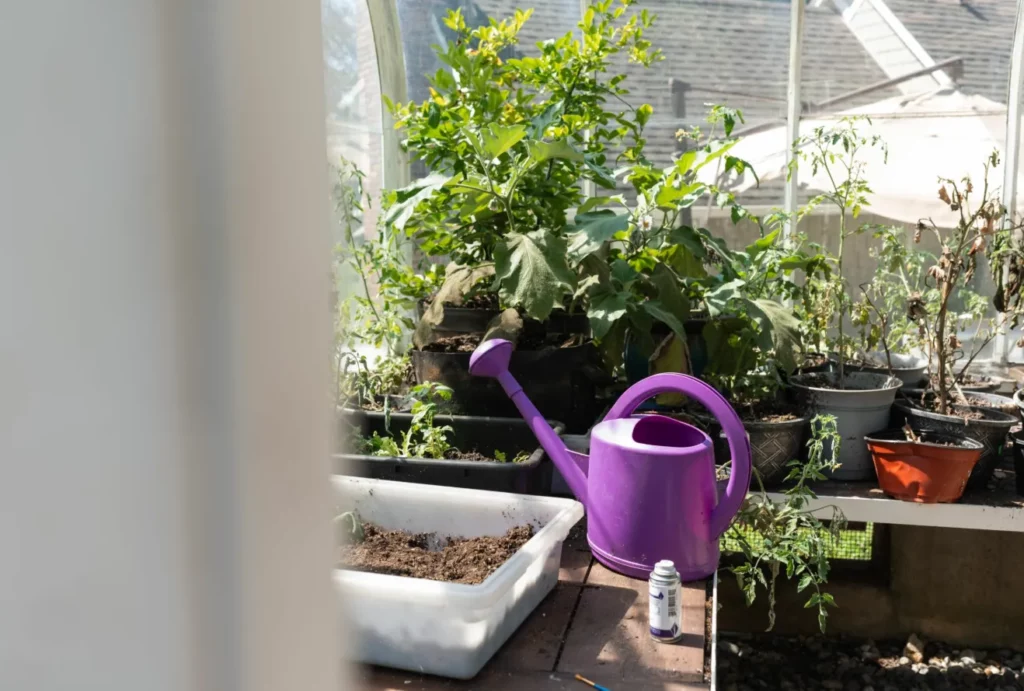 The Hidden Role of Nature in Healing