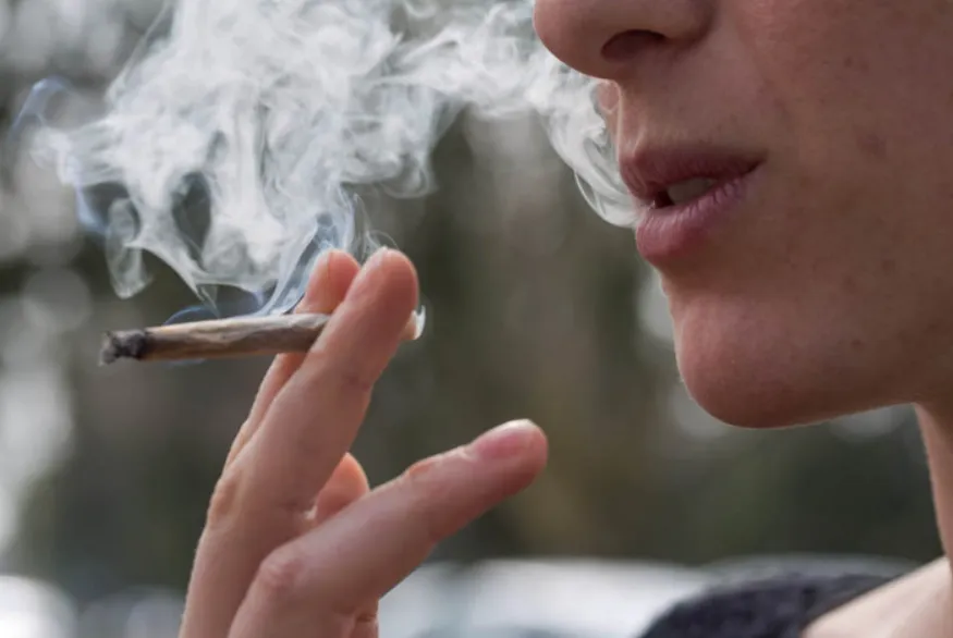 How to Stay Compliant When Consuming Cannabis in NJ How to Stay Compliant When Consuming Cannabis in NJ